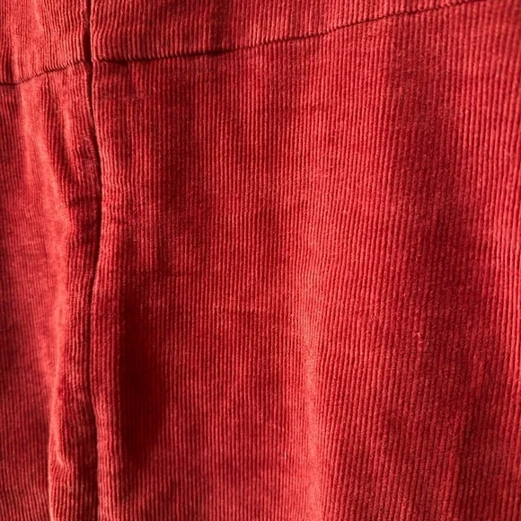 Banana Republic Burnt Orange Corduroy Mini Dress - Picture 5 of 6